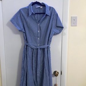 Vermont Country Store size 1x blue white check